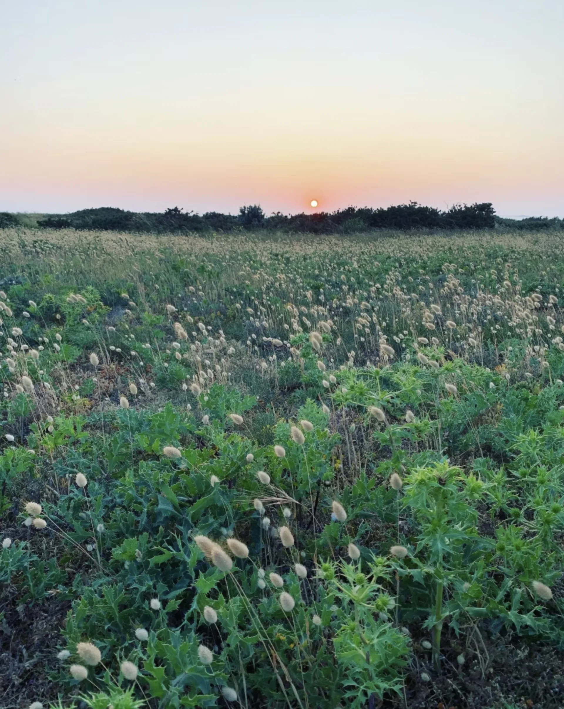 Les Couchers de Soleil